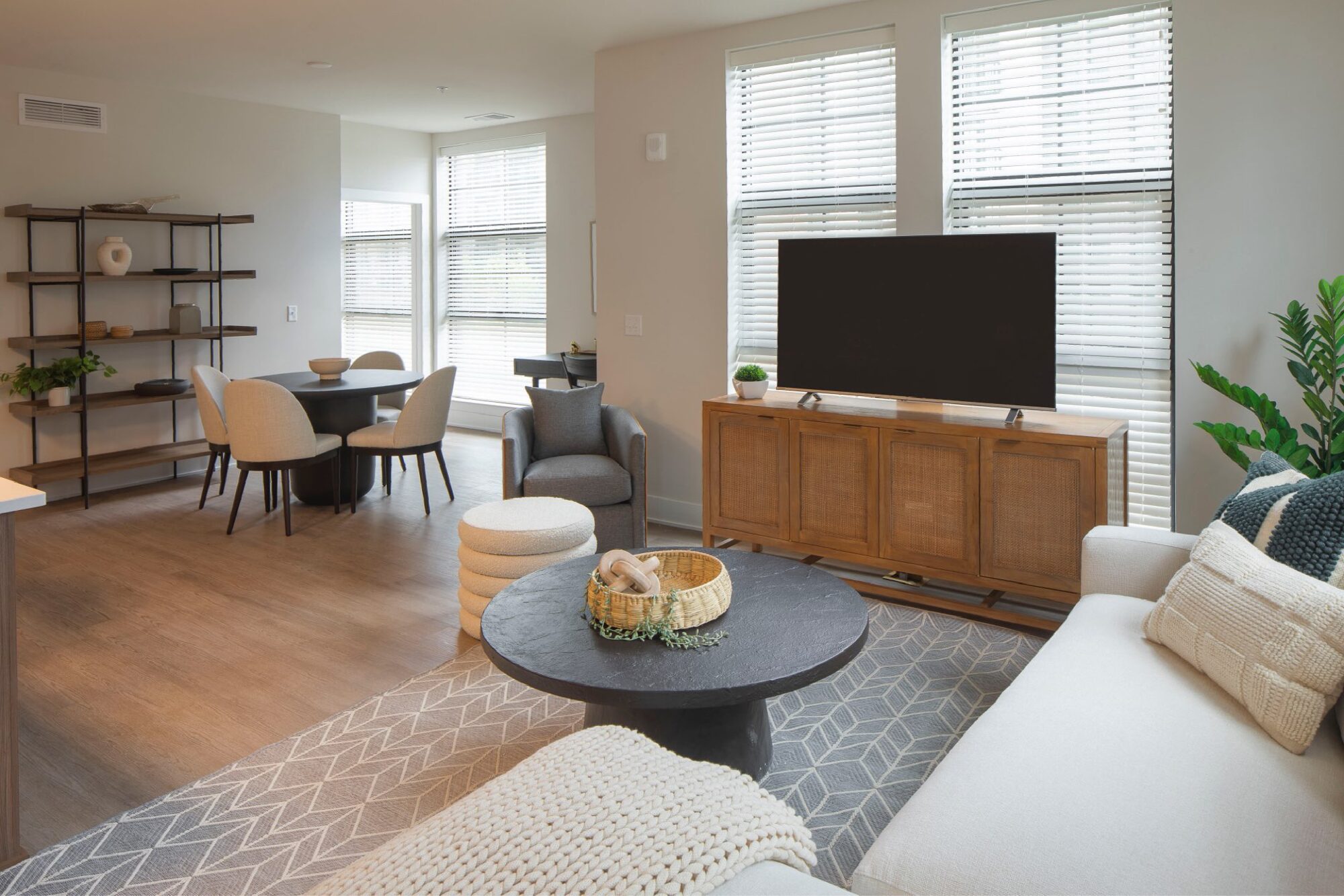 RyeHouse_Int_Apartment_LivingRoom1_MatthewBorkosk_April2023