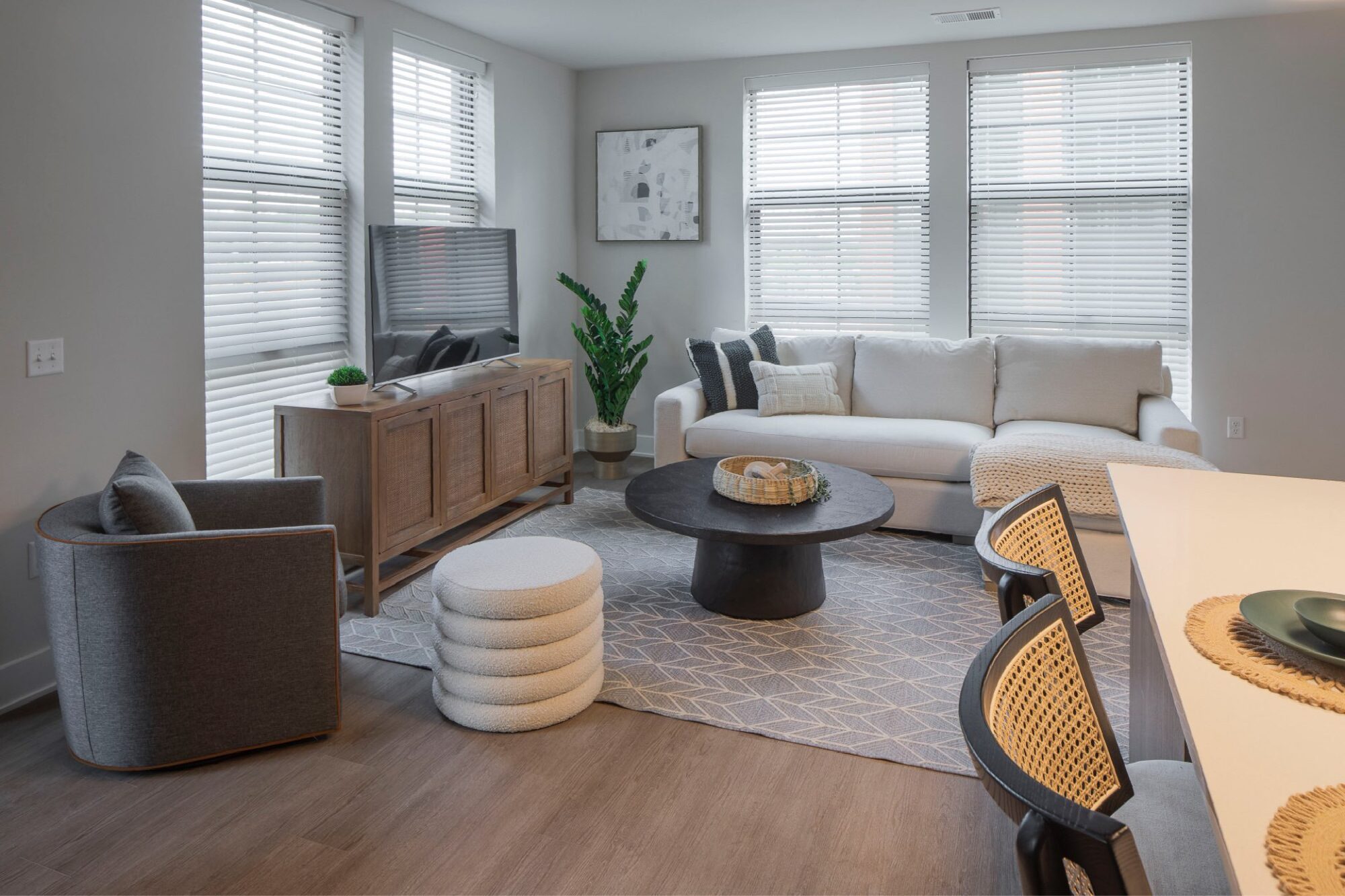 RyeHouse_Int_Apartment_LivingRoom2_MatthewBorkosk_April2023